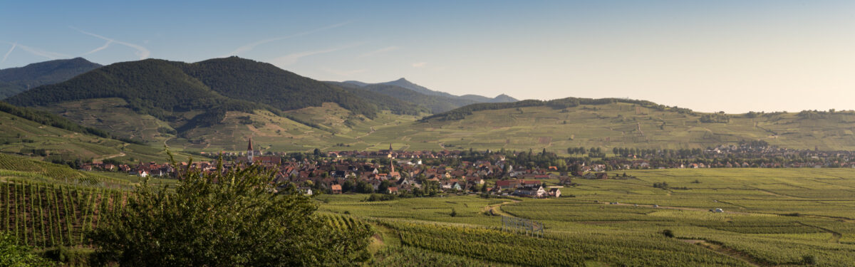 Retrouvez ici toutes nos annonces de terrains constructibles en Alsace qui accueillera votre maison individuelle