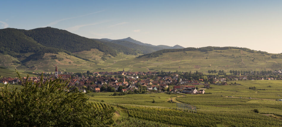   - Retrouvez ici toutes nos annonces de terrains constructibles en Alsace qui accueillera votre maison individuelle