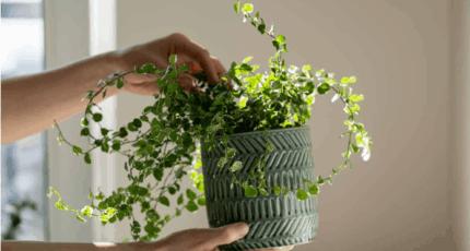 Réglementation environnementale RE2020 : comment construire ?