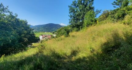Muhlbach-sur-Munster Maison neuve - 2058360-11028annonce220240910FkWU8.jpeg Maisons BRAND