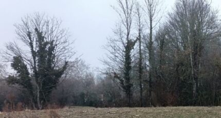 Morschwiller-le-Bas Maison neuve - 2089291-6989annonce1202502250bt7K.jpeg Maisons BRAND