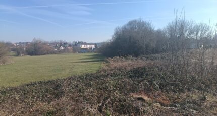 Didenheim Maison neuve - 2095927-6989annonce120250304r13Ch.jpeg Maisons BRAND