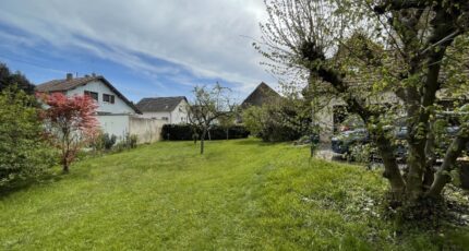 Hangenbieten Maison neuve - 2101059-3214annonce220250120VOQCX.jpeg Maisons BRAND