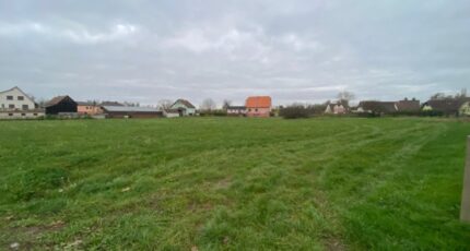 Guémar Maison neuve - 2108968-11003annonce320250317LZmzd.jpeg Maisons BRAND