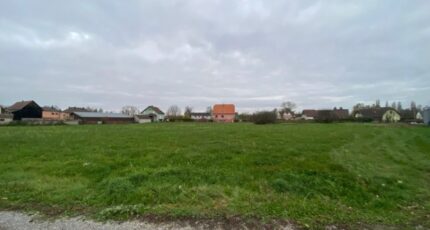 Guémar Maison neuve - 2108997-11003annonce220250317kgQb3.jpeg Maisons BRAND