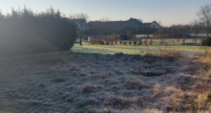 Hettenschlag Maison neuve - 2109035-5767annonce120250312a42iR.jpeg Maisons BRAND