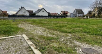 Balgau Maison neuve - 2094401-11028annonce120250302T6blT.jpeg Maisons BRAND