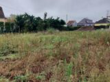 Maison à construire à Dessenheim (68600) 2109098-5767annonce1202503172nkDU.jpeg Maisons BRAND