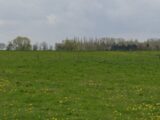 Terrain à bâtir à Aspach-le-Bas (68700) 2119295-11139annonce120250327FhZEU.jpeg Maisons BRAND