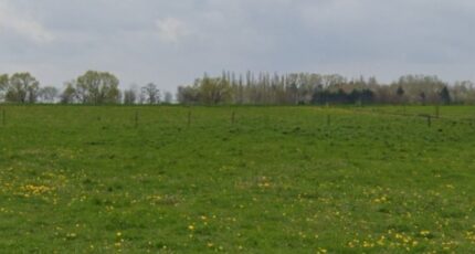 Aspach-le-Bas Terrain à bâtir - 2119295-11139annonce120250327FhZEU.jpeg Maisons BRAND