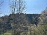 Terrain à bâtir à Bourbach-le-Haut (68290) 2133420-11139annonce120250415OKNkV.jpeg Maisons BRAND