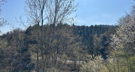 Bourbach-le-Haut Maison neuve - 2133960-11139annonce120250415OKNkV.jpeg Maisons BRAND