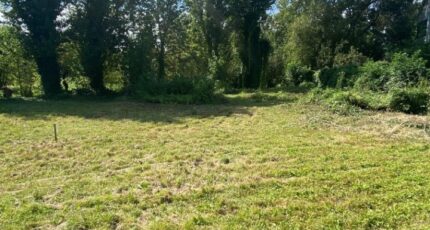 Colmar Maison neuve - 2142467-11003annonce120250428OXgTt.jpeg Maisons BRAND