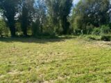 Maison à construire à Colmar (68000) 2142463-11003annonce120250428OXgTt.jpeg Maisons BRAND