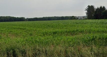Muespach-le-Haut Maison neuve - 2156302-11139annonce120250513PpwBx.jpeg Maisons BRAND