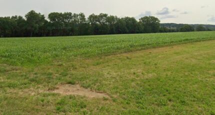 Oberdorf Maison neuve - 2156296-11139annonce120250513Hymds.jpeg Maisons BRAND
