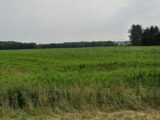 Maison à construire à Muespach-le-Haut (68640) 2156301-11139annonce120250513PpwBx.jpeg Maisons BRAND