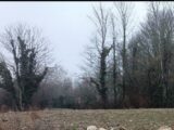 Terrain à bâtir à Morschwiller-le-Bas (68790) 2089290-6989annonce1202502250bt7K.jpeg Maisons BRAND