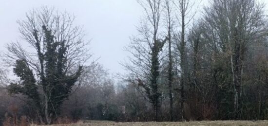 Terrain à bâtir à Morschwiller-le-Bas, Grand Est