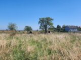 Maison à construire à Ruederbach (68560) 2095759-6989annonce120250304XraTL.jpeg Maisons BRAND
