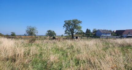 Ruederbach Maison neuve - 2095759-6989annonce120250304XraTL.jpeg Maisons BRAND