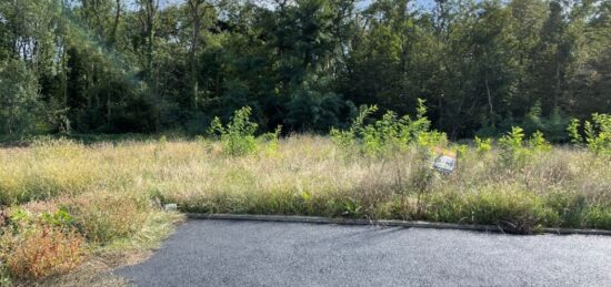 Terrain à bâtir à Issenheim, Grand Est