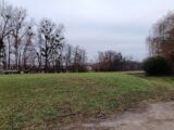 Terrain à bâtir à Wentzwiller (68220) 2091018-6989annonce120250226zhKC7.jpeg Maisons BRAND