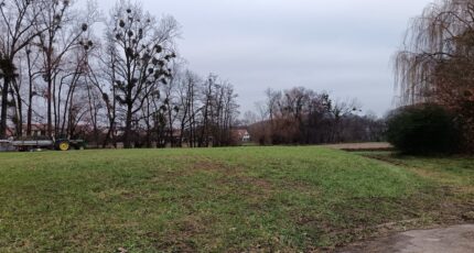 Hagenthal-le-Haut Maison neuve - 2089214-6989annonce120250225dgEcK.jpeg Maisons BRAND