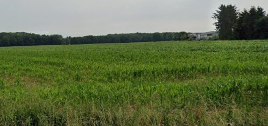 Terrain à bâtir à Muespach-le-Haut, Grand Est