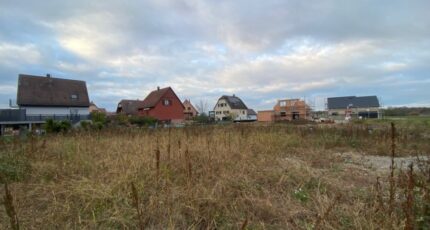 Colmar Maison neuve - 2128655-11003annonce220250317Zrhqg.jpeg Maisons BRAND