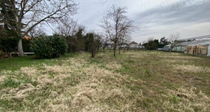 Colmar Maison neuve - 2115627-11003annonce320250324brRio.jpeg Maisons BRAND