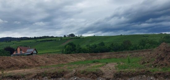 Terrain à bâtir à Riquewihr, Grand Est