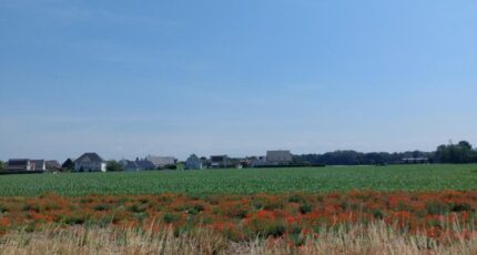 Algolsheim Maison neuve - 2188116-5767annonce620250612RNWbS.jpeg Maisons BRAND