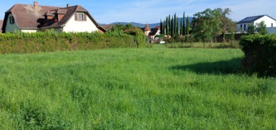 Terrain à bâtir à Guémar, Grand Est