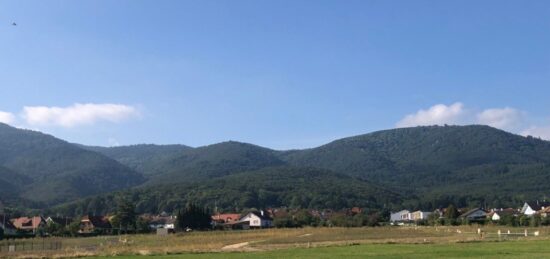 Terrain à bâtir à , Haut-Rhin