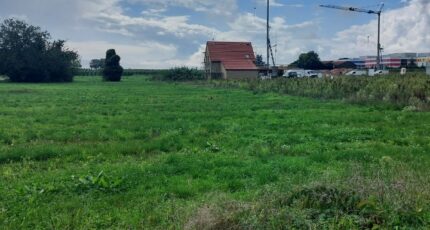 Bergheim Maison neuve - 2266903-5767annonce120250910rXsnZ.jpeg Maisons BRAND