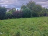 Maison à construire à Hilsenheim (67600) 2272320-5767annonce620250916qhWui.jpeg Maisons BRAND