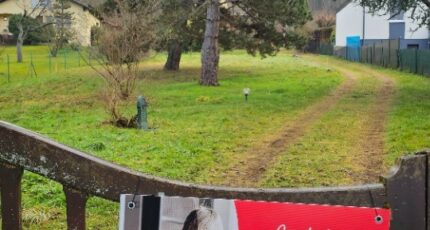 Gresswiller Maison neuve - 2233568-3214annonce1202502208JHyf.jpeg Maisons BRAND