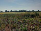 Terrain à bâtir à Houssen (68125) 2203885-5767annonce120250625XQlAI.jpeg Maisons BRAND