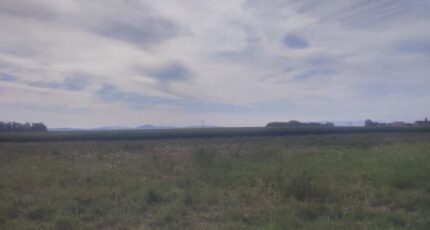 Muntzenheim Terrain à bâtir - 2227594-5767annonce120250718oNHAW.jpeg Maisons BRAND