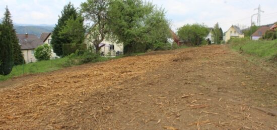 Terrain à bâtir à Russ, Grand Est
