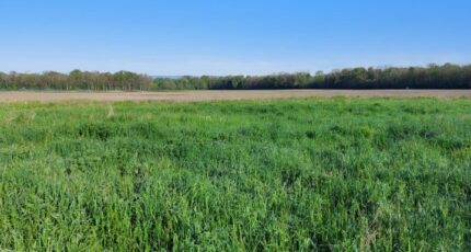 Bindernheim Maison neuve - 2256632-5767annonce120250901x9BTw.jpeg Maisons BRAND