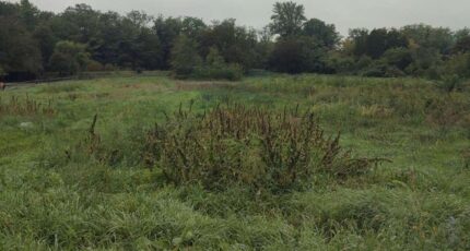 Kunheim Terrain à bâtir - 2280292-5767annonce120250923WOTAs.jpeg Maisons BRAND