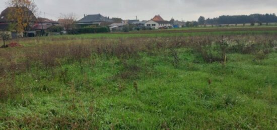 Terrain à bâtir à Wolfgantzen, Grand Est