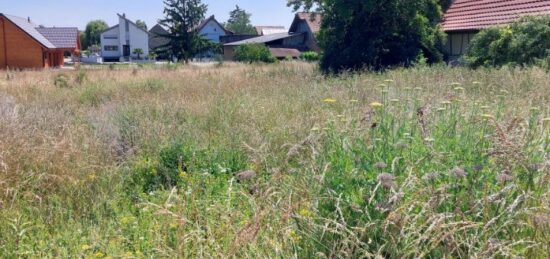 Terrain à bâtir à Obersaasheim, Grand Est