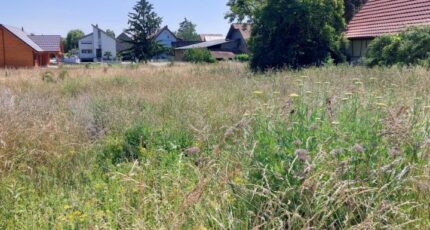 Obersaasheim Maison neuve - 2292126-5767annonce120251003XpT9i.jpeg Maisons BRAND