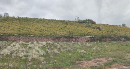 Katzenthal Terrain à bâtir - 2296088-5767annonce120251124Bqru3.jpeg Maisons BRAND