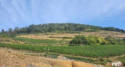 Guebwiller Maison neuve - 2246168-6989annonce220250818A2ICX.jpeg Maisons BRAND