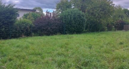 Hilsenheim Maison neuve - 2272421-5767annonce620250916t1QSF.jpeg Maisons BRAND