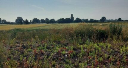 Houssen Maison neuve - 2311370-5767annonce120251020rOSmD.jpeg Maisons BRAND